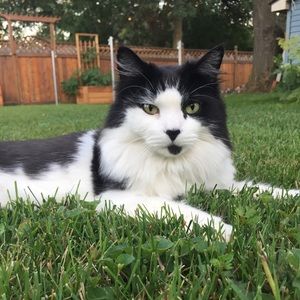 Meet your Posher, Nita